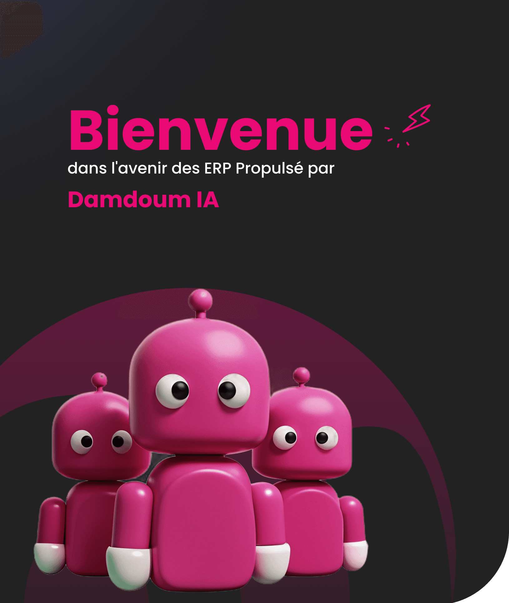 Bienvenue dans l'avenir des ERP Propulsé par Damdoum IA